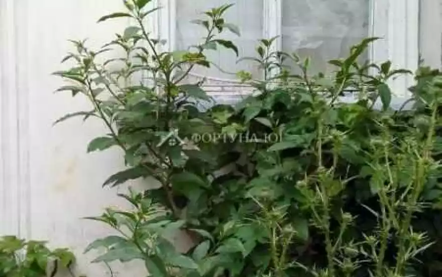 Киевский переулок