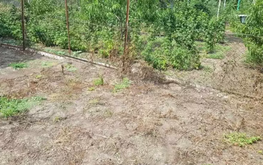 Раевская улица