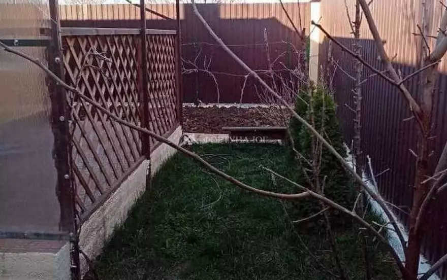 Виноградная ул