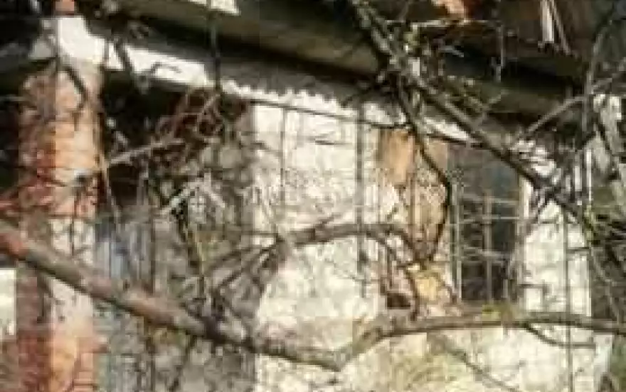 Зелёная улица