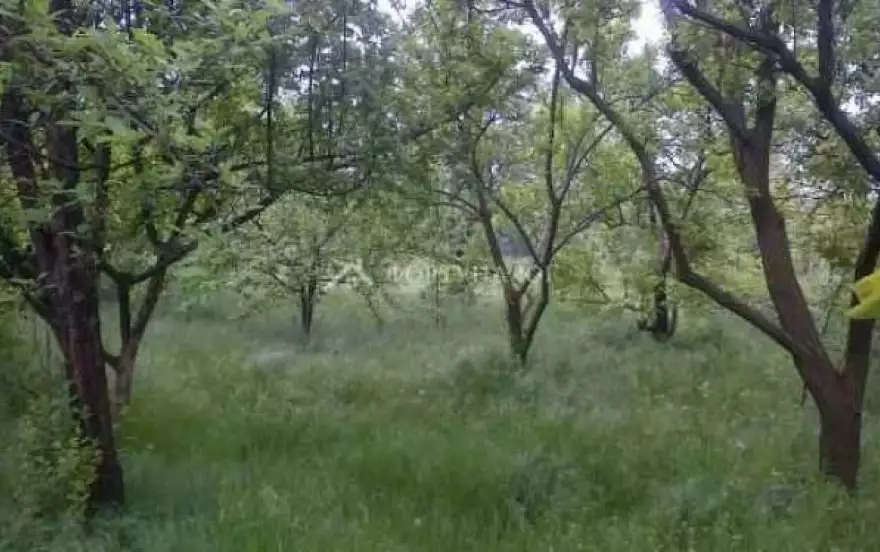ул Пролетарская