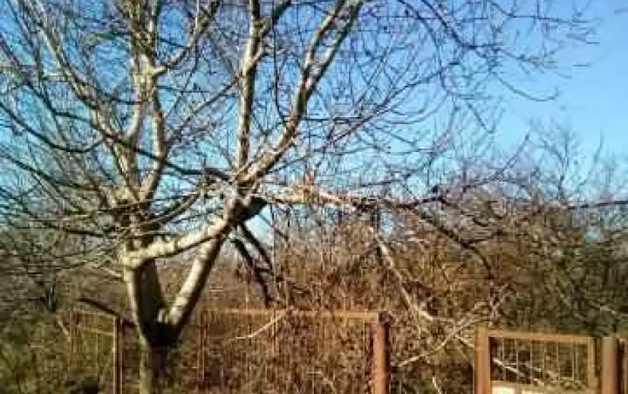 ул Красная