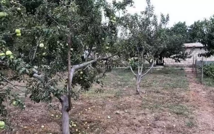 Советская ул