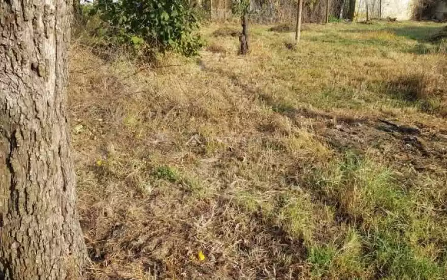 Заводская улица