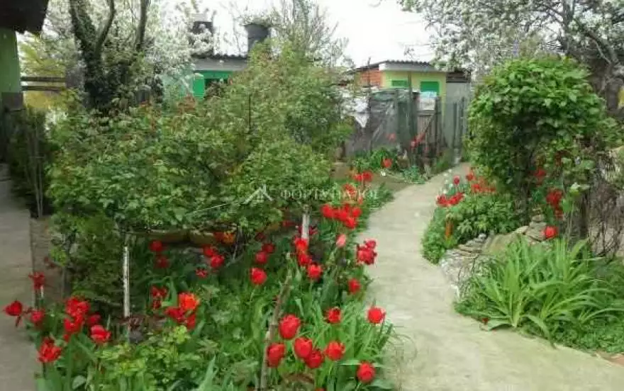 Восточная улица
