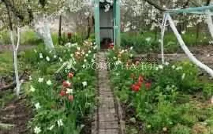 Виноградная улица