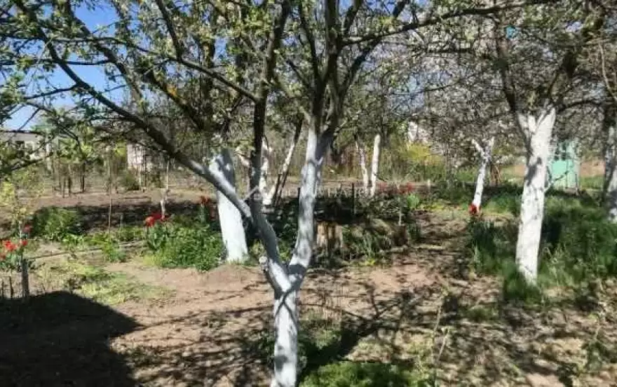 Виноградная улица