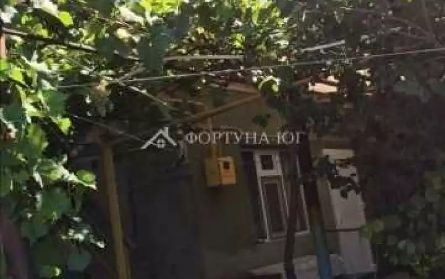 улица Толстого