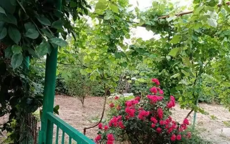 ул Суворова