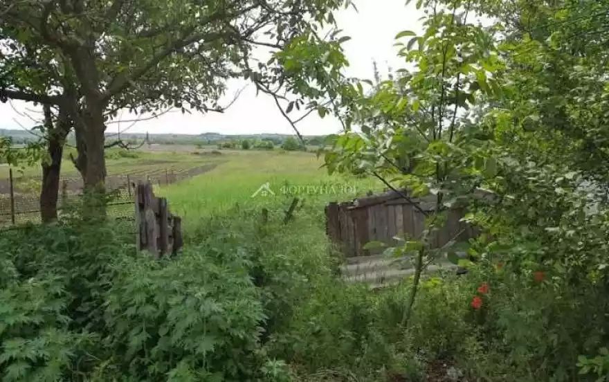 Пионерская улица