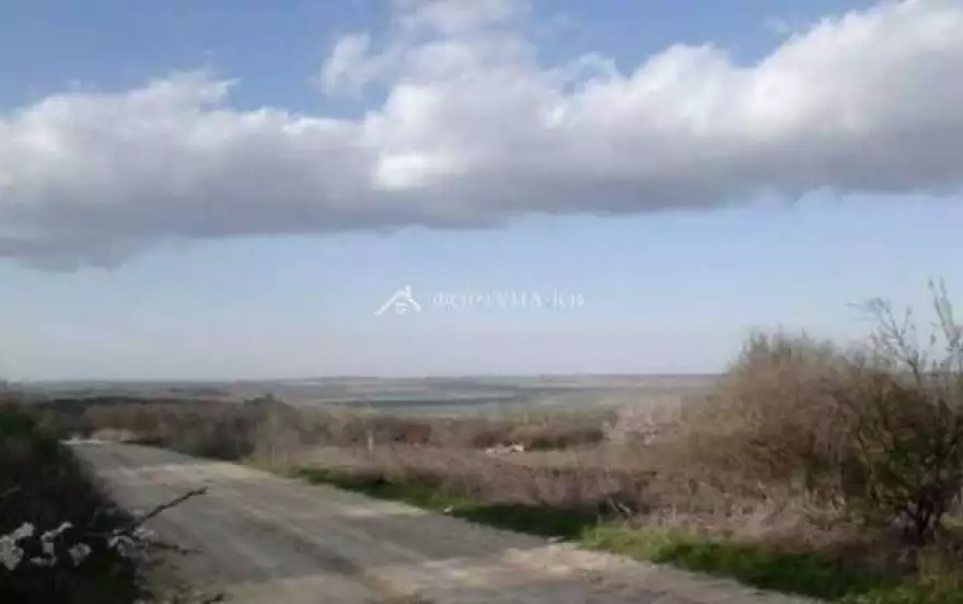 Каштановая ул