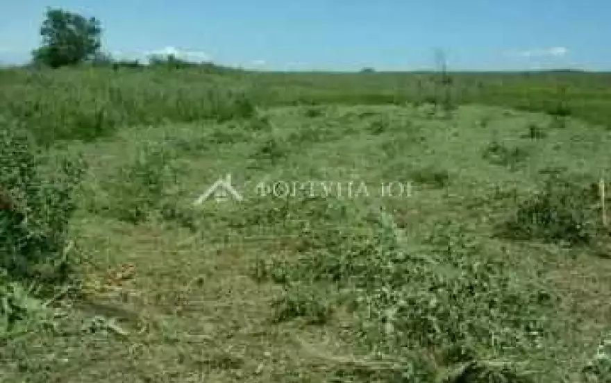 ул Берёзовая
