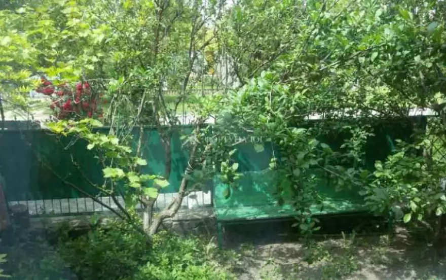 Пролетарская улица