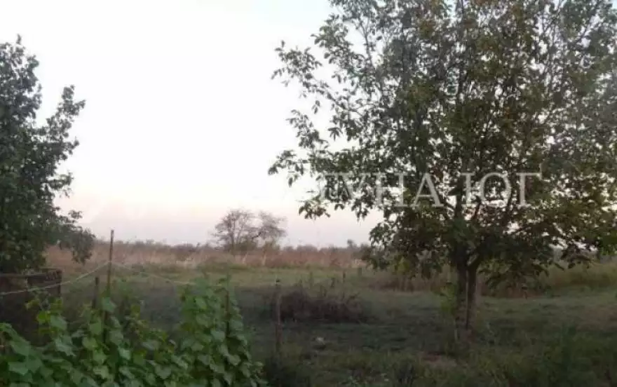 улица Свободы