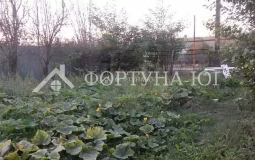 улица Свободы
