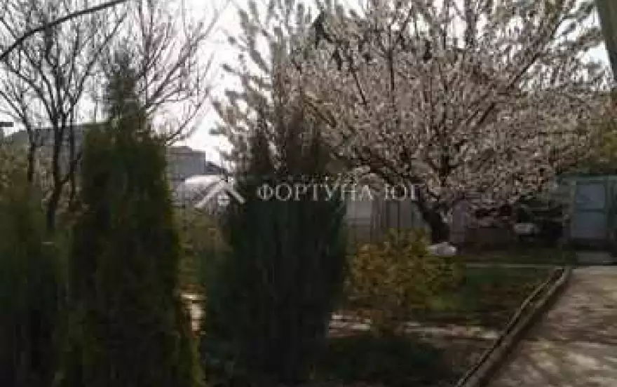 Виноградная ул