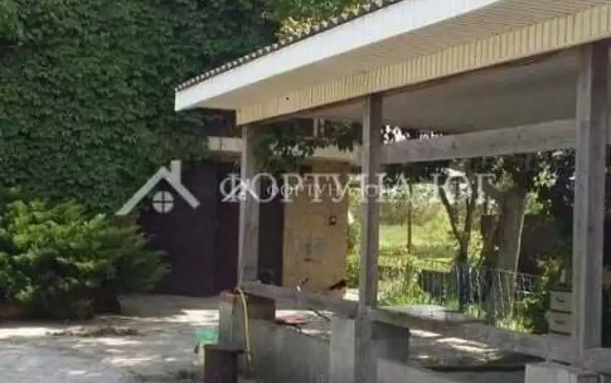 Зелёная улица