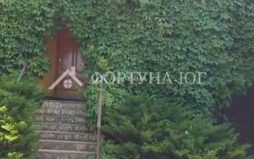 Зелёная улица