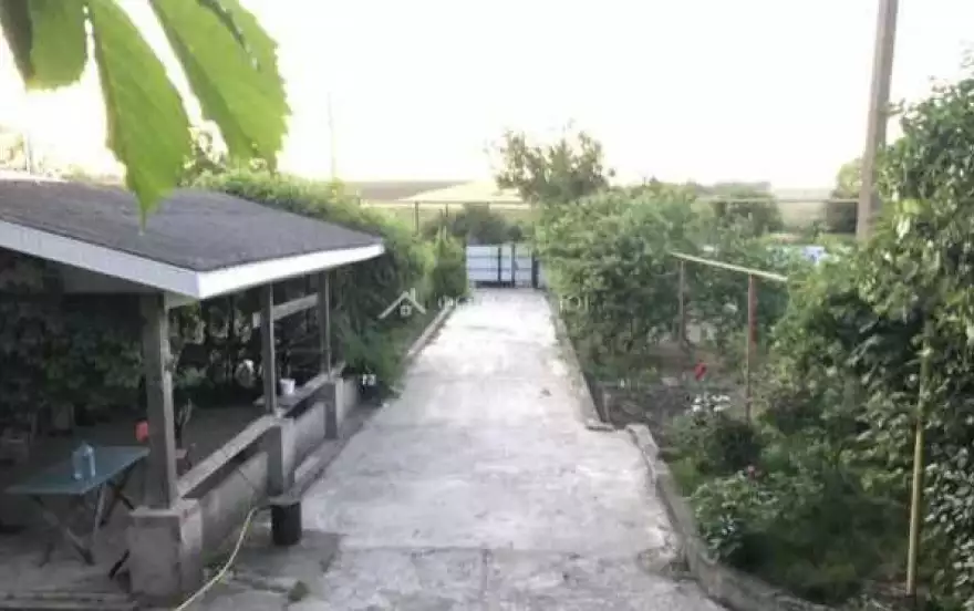 Зелёная улица