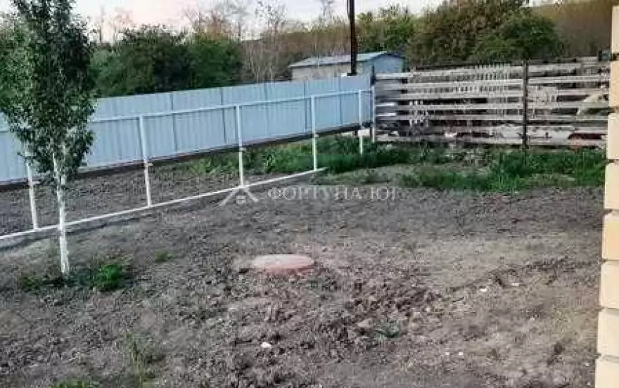 Колос -Нива