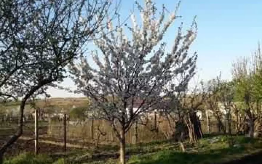 Октябрьская улица