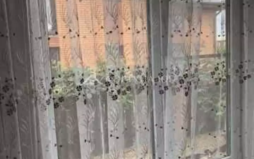 Покровская ул