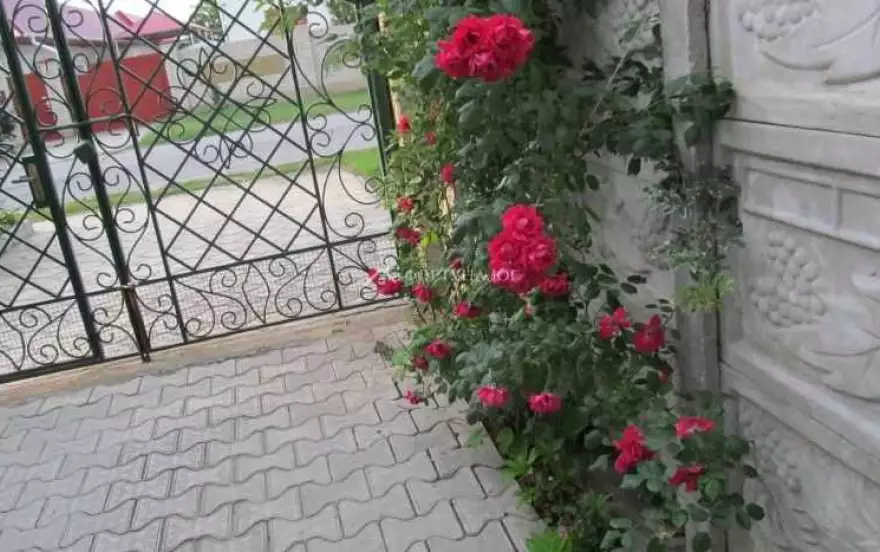 пер Пограничный