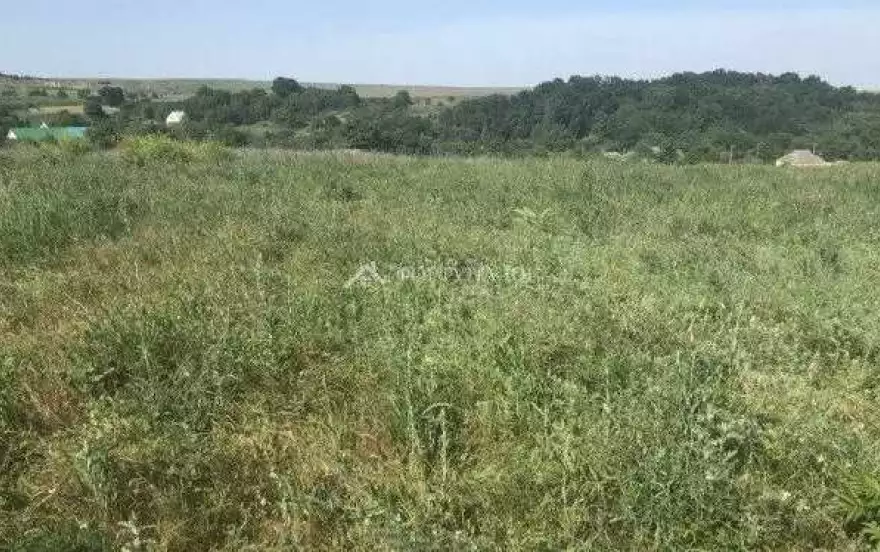 ул Молодежная