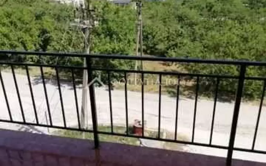 Виноградная ул