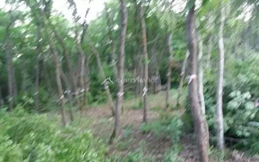 ул Шаумяна