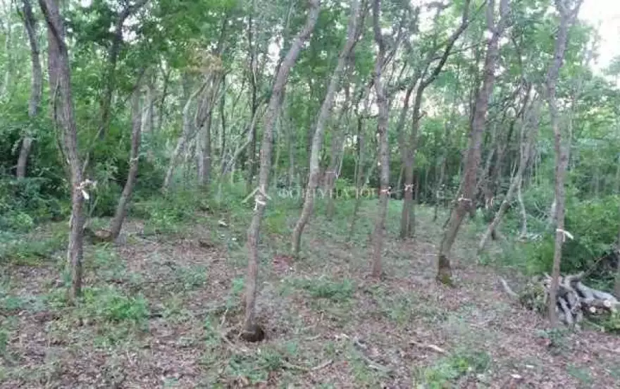 ул Шаумяна