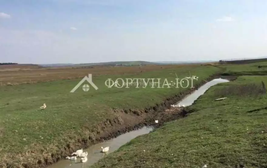 улица Гремахова