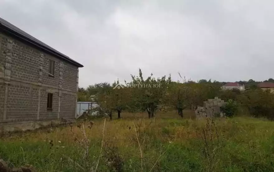 улица Дружбы