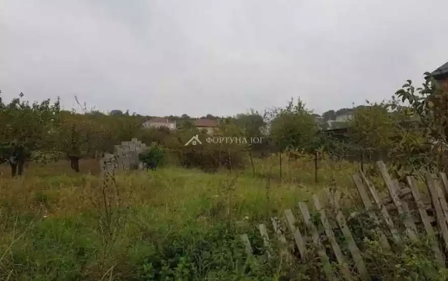 улица Дружбы