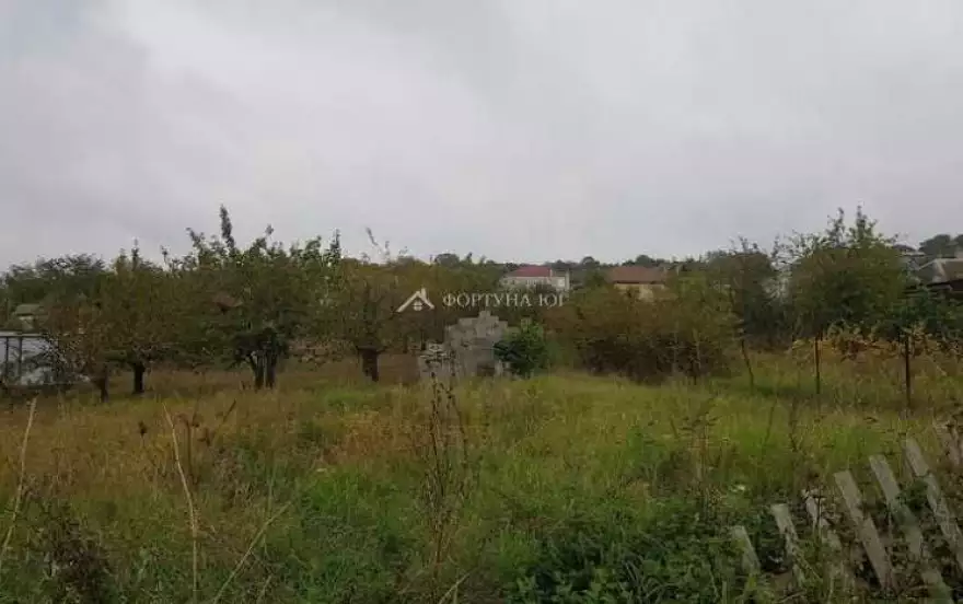 улица Дружбы
