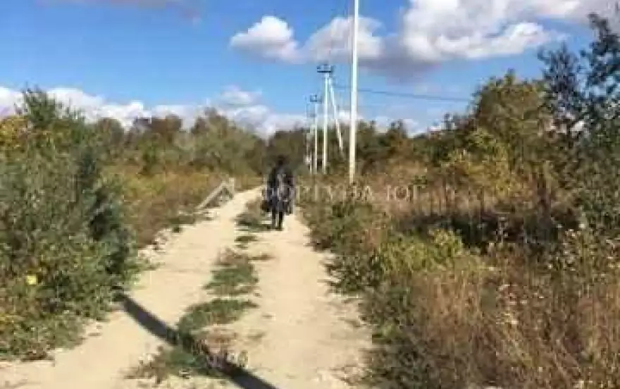 ул Полевая