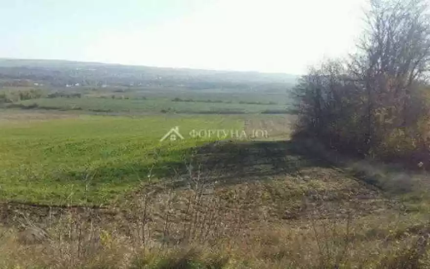 улица Трудящихся