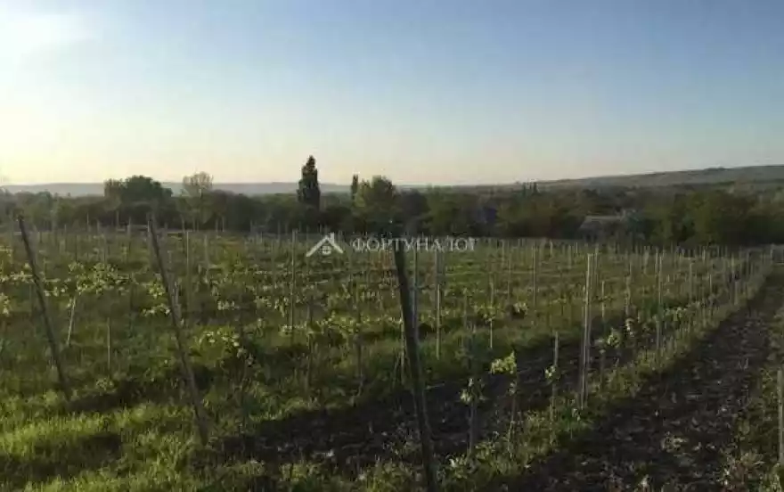 ул Новороссийская