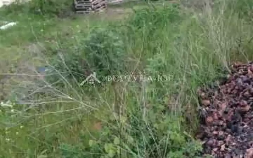 село Сукко, Центральная улица