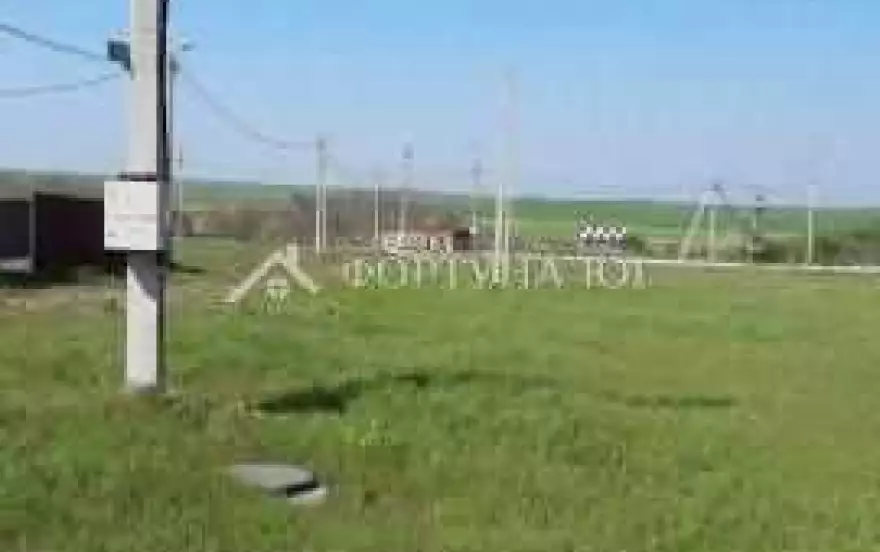 Зелёная улица