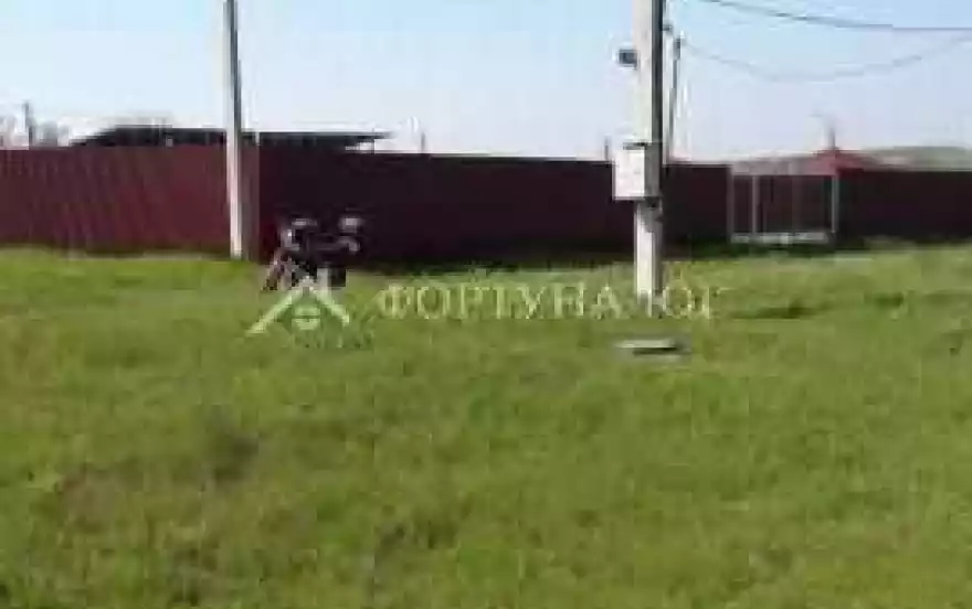 Зелёная улица