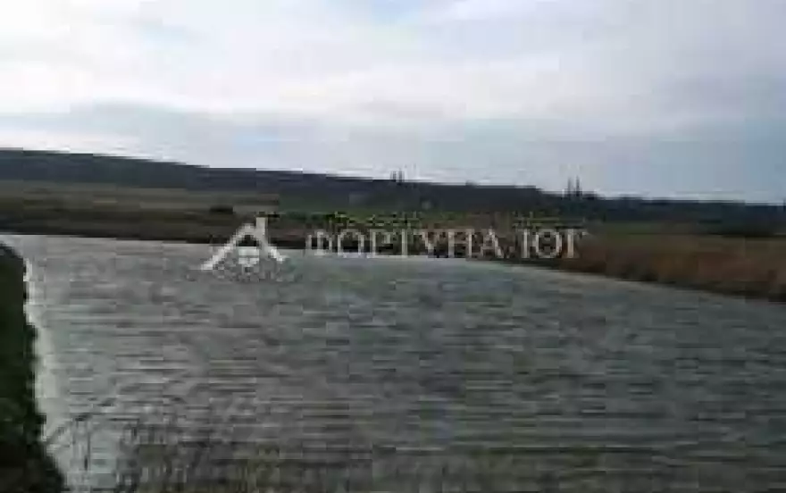 Зелёная улица