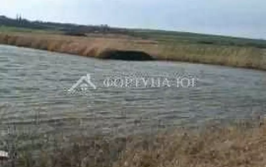 Зелёная улица