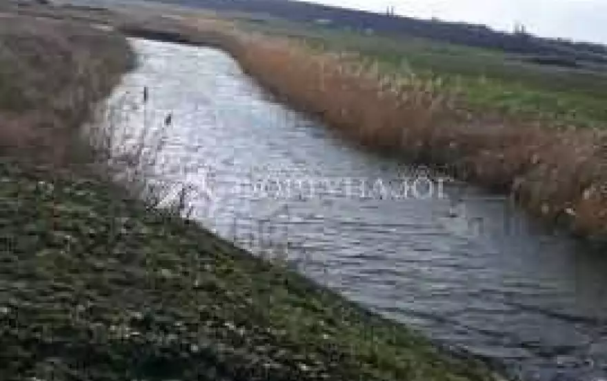 Зелёная улица