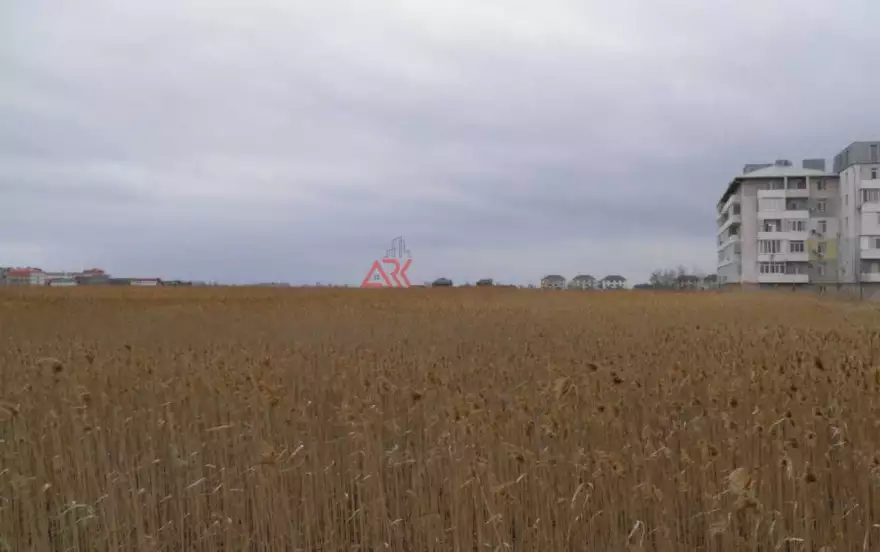 Дружбы улица
