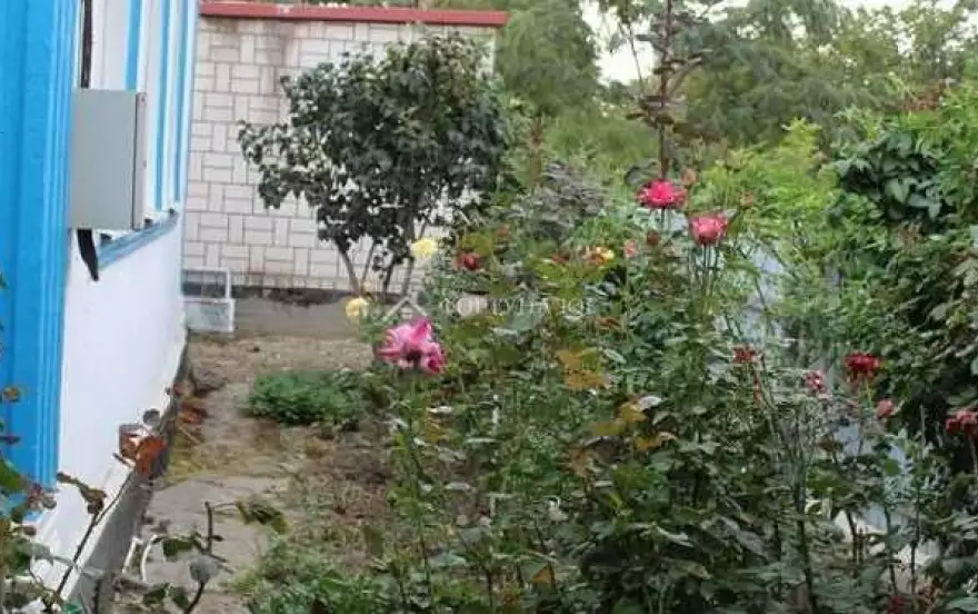Пограничный переулок
