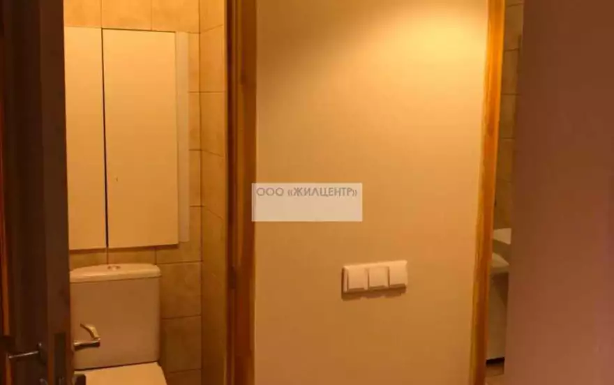 Лихачёвский пр-кт, 68к5