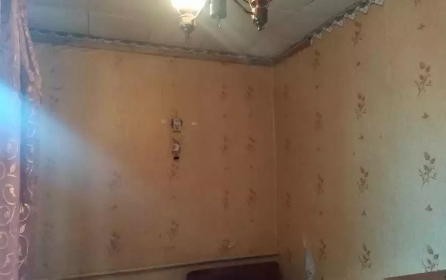 Пушкина улица, 100