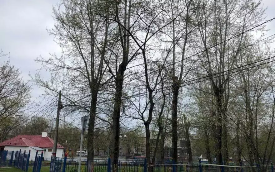 Комарова улица