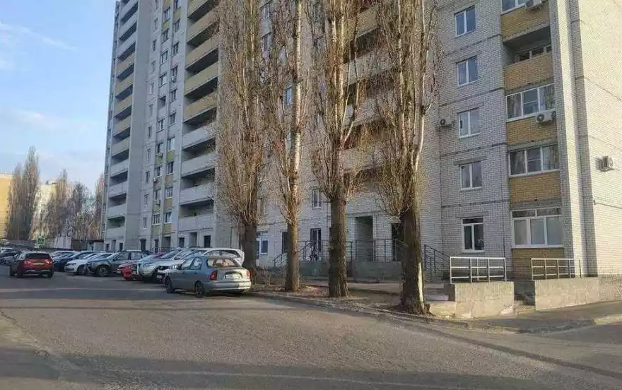 Пеше-Стрелецкая улица, дом 100